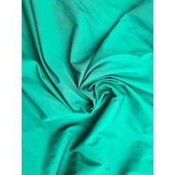 Tafta Classic Touch elastica verde -1m