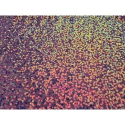 Paiete Shine Deluxe roz-1m